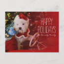 Search for west highland terrier christmas cards Close up