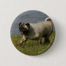 Search for playing dog badges Pug