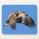 Search for juvenile mouse mats Wild