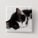 Search for sleep square badges Photography