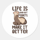 Search for ferret quotes Ferrets