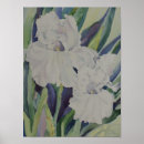 Search for white iris art Flowers
