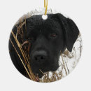 Search for duck christmas tree decorations hunting dog