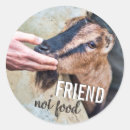 Search for vegan friendly stickers Compassion