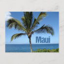 Search for hawaiian souvenirs postcards Maui