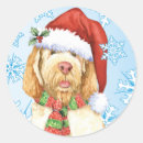 Search for italiano stickers Spinone