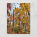 Search for fall foliage postcards Greetings