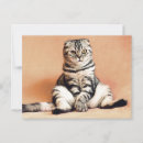 Search for sofa postcards Cat