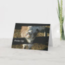 Search for donkey valentines day cards Kiss