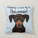 Search for chiweenie Cute