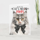 Search for norwegian forest cat Mum
