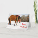 Search for bay horse cards Snow