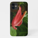 Search for calla lilies iphone cases Nature
