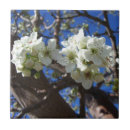 Search for pear tree tiles Flowers