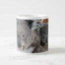 Search for wild koala mugs Bear