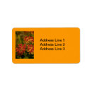 Search for botany return address labels Nature
