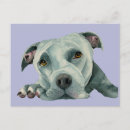 Search for terrier horizontal postcards Animal