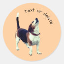 Search for beagle stickers canine