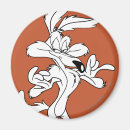 Search for coyote magnets Loney toons coyote