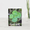 Search for new leaf cards Birth