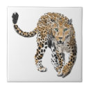 Search for jungle tiles Cat