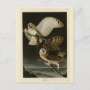 Search for alba postcards Bird