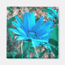 Search for blue shade magnets Fantasy