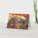 Search for koi carp cards Nature