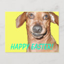 Search for dachshund easter cards Happy