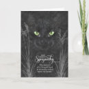 Search for cat pet sympathy cards Felines