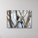 Search for bill canvas prints Bird