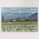 Search for geese puzzles Nature