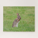 Search for easter bunny puzzles Brown
