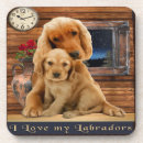Search for labrador coasters Funny