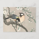 Search for flowers retro postcards Bird