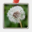 Search for lion christmas tree decorations Green