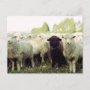 Search for individual postcards Black