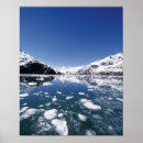 Search for icing posters Usa