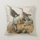 Search for sandpiper cushions Coastal