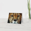 Search for species cards Wildlife