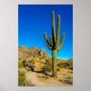 Search for cactus posters Sonoran desert