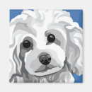 Search for white poodle magnets Pets