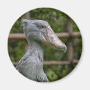 Search for bill round magnets Bird