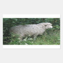Search for fluffy sheep stickers Woolly