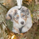 Search for australian shepherd christmas tree decorations Puppy