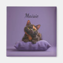 Search for tortoiseshell magnets Feline