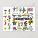 Search for bee postcards Colourful