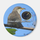 Search for migrate kitchen dining Nature