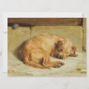 Search for cocker spaniel cards Canine