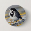 Search for wild birds badges Nature